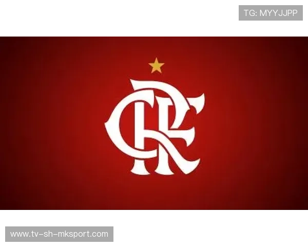 弗拉门戈商学院资源助力俱乐部运营升级:管理能力的跨界突破