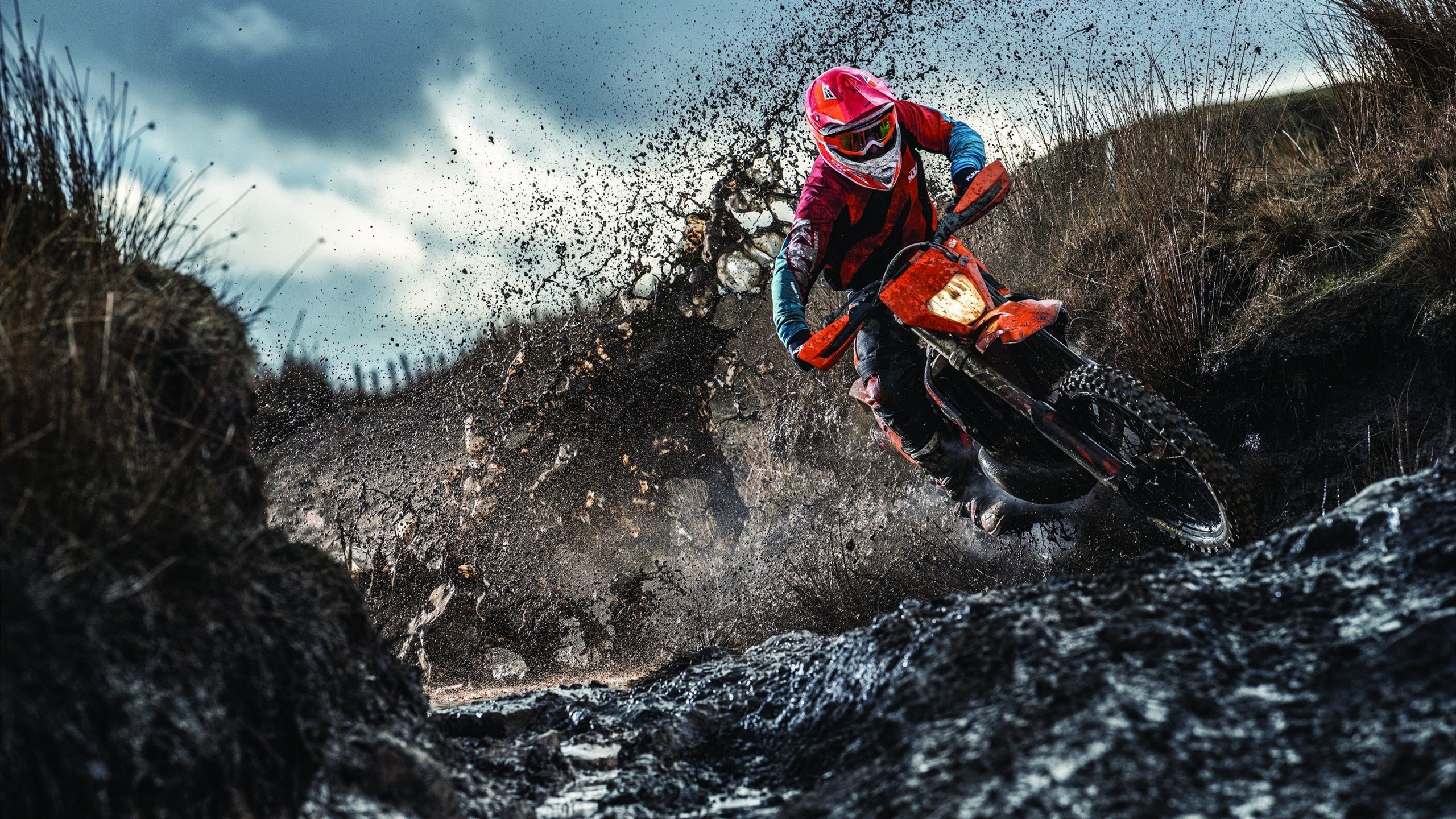 mk官网入口-新英雄上线，战局瞬间变天！